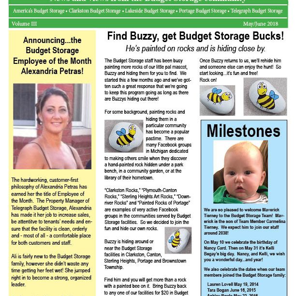 Budget Storage Buzz May June