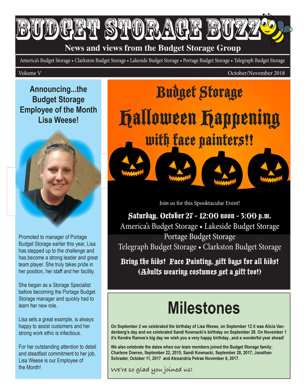 Budget Storage Buzz Oct Nov 2018 1